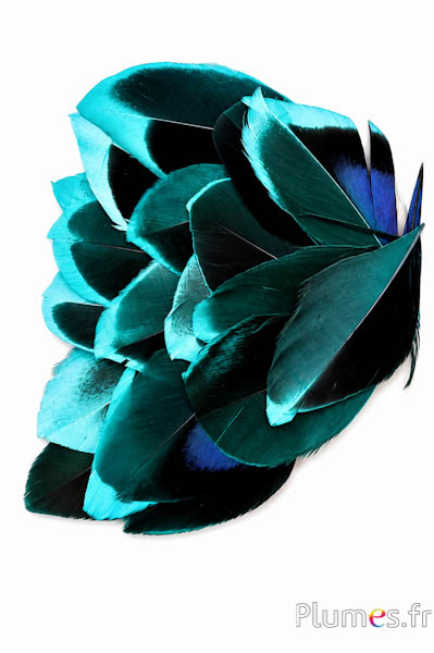 Blütenblätter aus Federn - 5-8 cm x 3-4 cm - jade-schwarz
